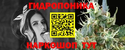 тгк Чебоксары