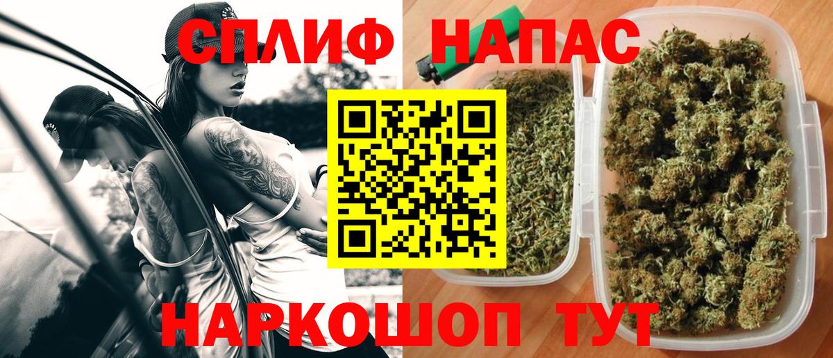 Марихуана конопля Тавда